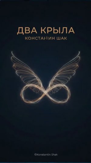 Константин Шак - Два крыла