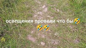 Японский сад?первый в новый цветник, формируем его сразу, набрала хвойный опад для гортензий.