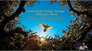 НЕДЕЛЬНАЯ ГЛАВА ТОРЫ — «КИ-ТЕЦЕ» | כִּי־תֵצֵא  «Когда выйдешь на войну против врагов твоих…»