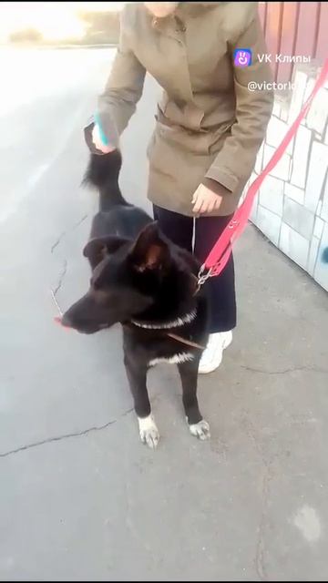 Возле дома моего