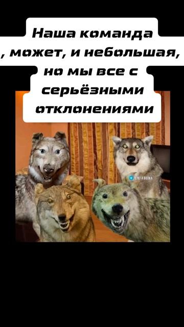 работа #работа #юмор #хасанстан #злойповар #общепит