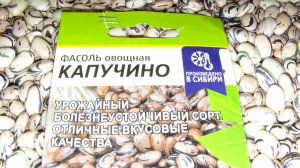 Фасоль  КАПУЧИНО  в  НАШЕМ  САДУ