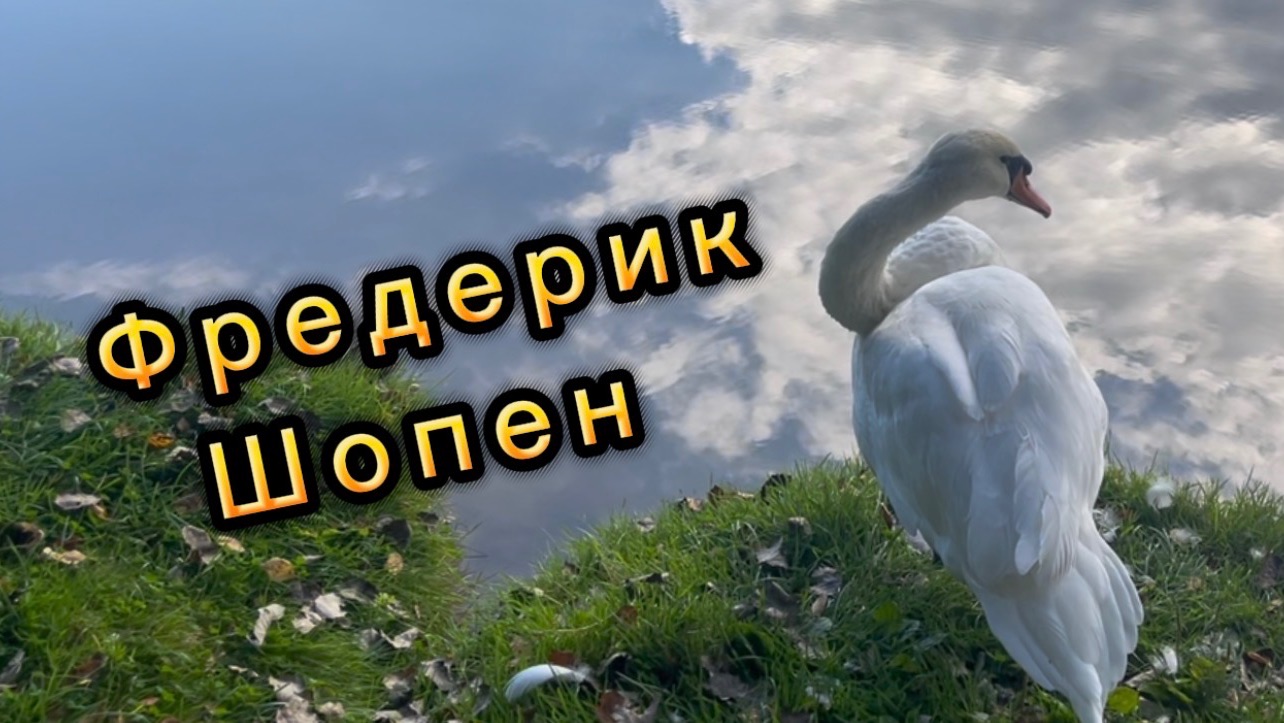 Фредерик Шопен, вальс № 19, классическая музыка