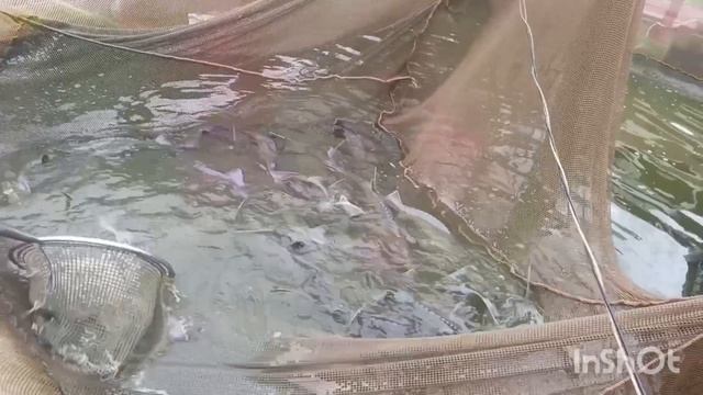 1000162927.mp4
