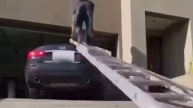 Улыбнись))