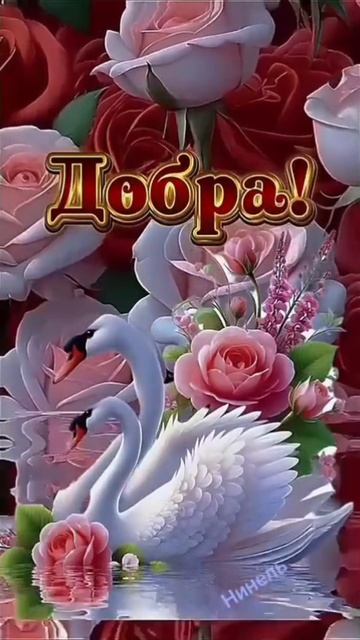 Доброе утро страна!