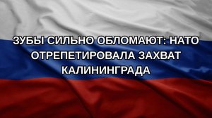 Зубы сильно обломают: НАТО отрепетировала захват Калининграда