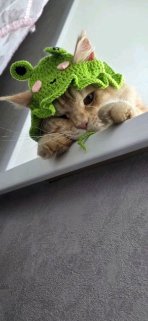 просто общаемся