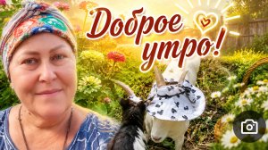 Доброе утро