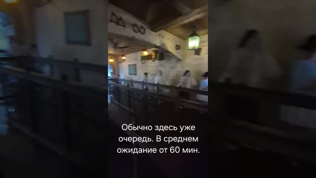 ШАНХАЙСКИЙ ДИСНЕЙЛЕНД (Shanghai Disneyland Park)