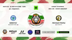 3 · Биектау — Лесные Пчелы · 23 авг 12-00
