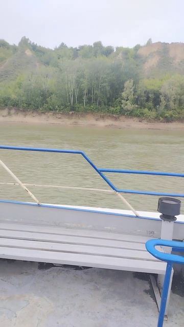 Прогулка на теплоходе по реке Обь. 🛳️🌊