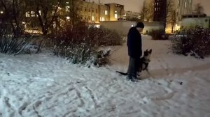 Барвиттера Айташер