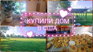 Сельчанка в америке. ОЧЕНЬ ХОРОШАЯ НОВОСТЬ!!! СЕЛЬЧАНКА В АМЕРИКЕ.