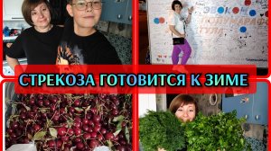 22-08-2026 Большая закупка с рынка и из Чижика🛒Делаю запасы на зиму🍒Разминка для бегунов💃