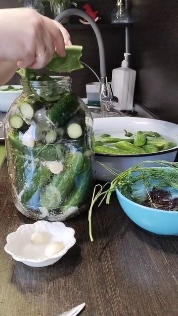 🥒 БОЧКОВЫЕ ОГУРЦЫ В ХОЛОДИЛЬНИКЕ 🥒