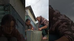 Грибы