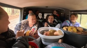 Буханка катит в бор