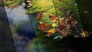 Pulsar - Golden Autumn