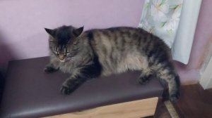 Влог:Суббота! Улица! Гроза!