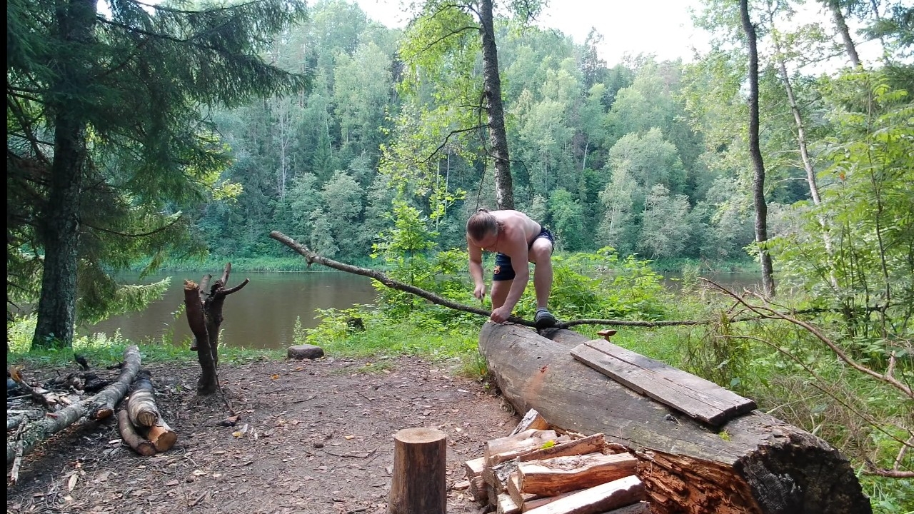 10.1 Днёвка. Дрова