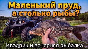 РЫБАЛКА НА МАЛЕНЬКОМ ПРУДУ. КАРАСИ ПО 1 КГ. Откуда там рыба? СМОТРЕТЬ ВСЕМ!