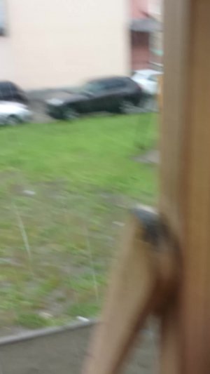 мы попали под опакаликсис