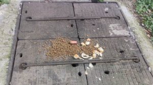 22 августа Творите добро на земле помогайте тем кто нуждается в вашей помощи
