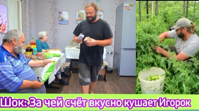 Подвал Ильича. Обзор. За чей счёт вкусно кушает Игорок