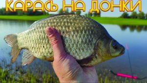 Ловля КАРАСЯ на донки.