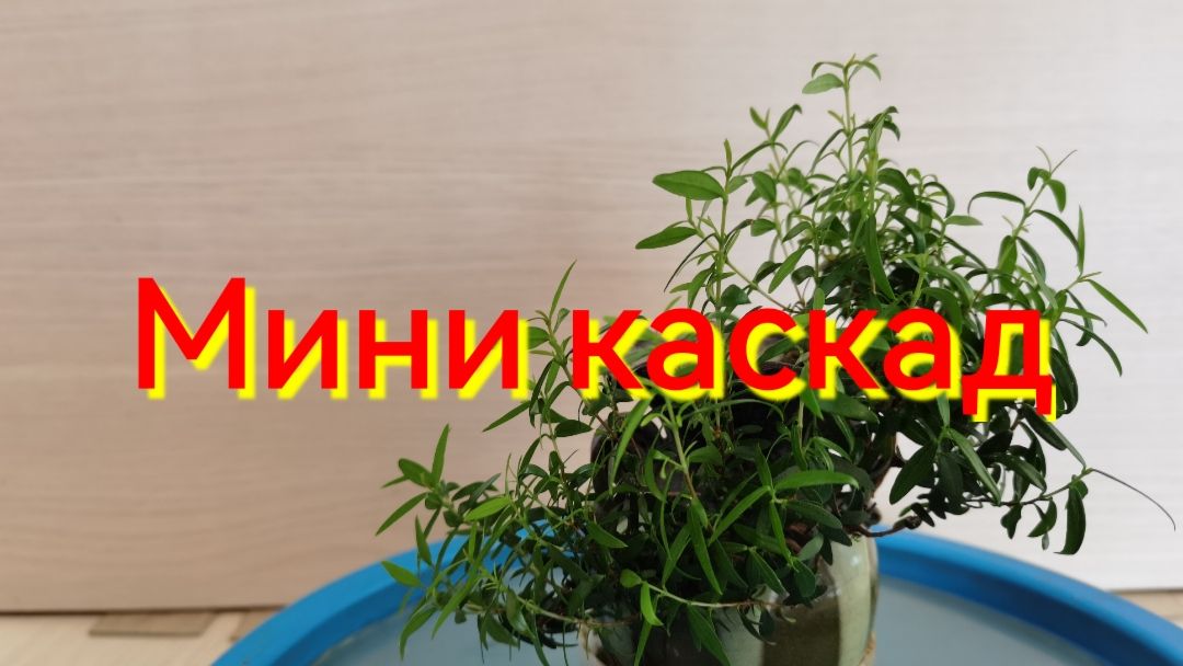Мини каскад
