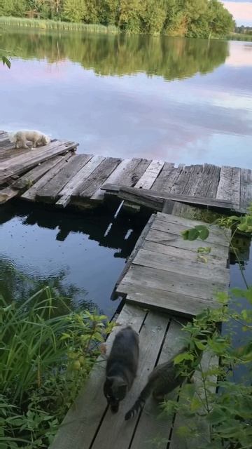 пришли на рыбалку