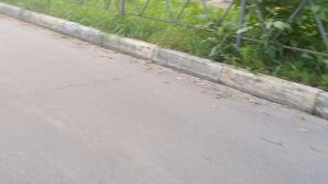 спорт 4