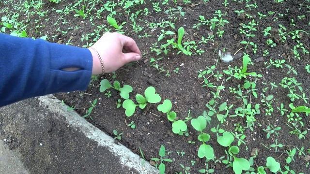 Влог от 07.05.2023
