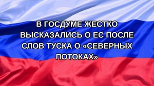 |Н. РФ| В Госдуме жестко высказались о ЕС после слов Туска о «Северных потоках»