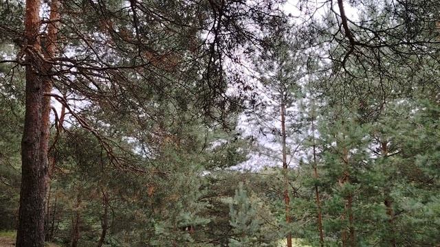 Деньги - это наши слуги или хозяева?