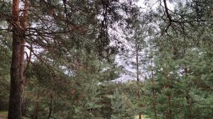 Деньги - это наши слуги или хозяева?