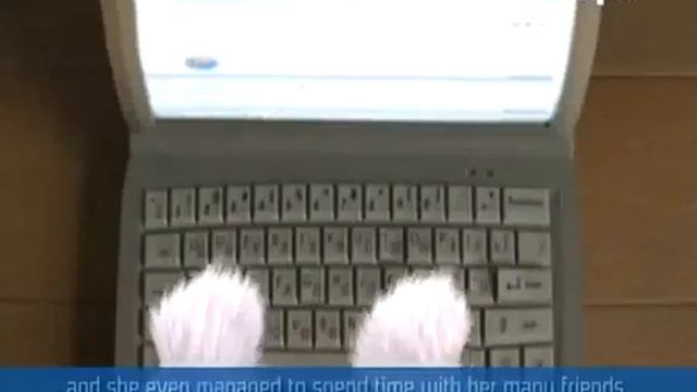 Шевели ластами 2