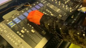 Поросячие глаза - Shi Kar dOS &  Юлиана Viv'er)