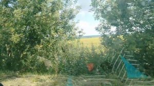 Мы ждём вас,ребята