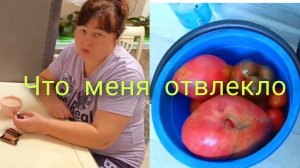 ПРИМОРЬЕ !КУДА ДЕВАТЬСЯ// ПОРА ДЕЛАТЬ .