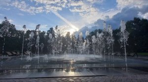 1 нектар для сердца