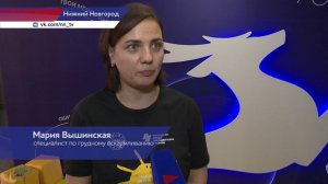 Фестиваль семей