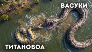 Нашли самую большую змею в мире _ и это не титанобоа .