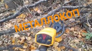 МЕТАЛЛОКОП С СТ9444/АРХИВ/ОТЛИЧНОЕ ЖЕЛЕЗО СССР/ДОПОЛНИТЕЛЬНЫЙ ЗАРАБОТОК.