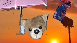 Lucky doggy идут на пляж на море🔥