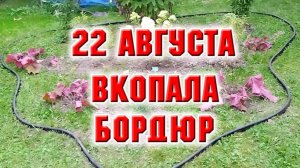 22 августа. Собрала урожай, вкопала бордюр на новой клумбе