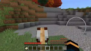 1000003099.mp4