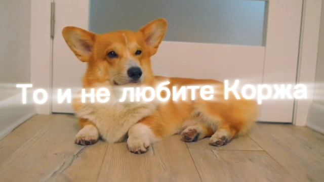 ⭐¡!ПРАВДА!¡⭐
