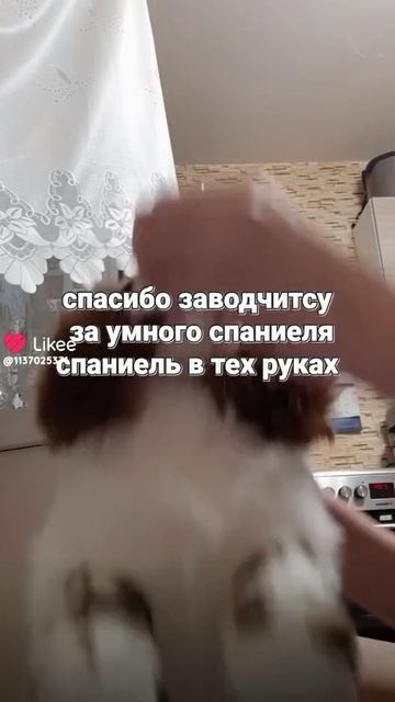 подпишитесь на меня